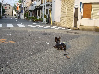 P1050983.JPG