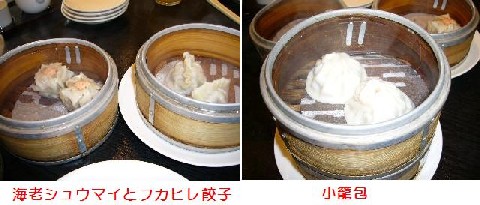 P1010584a.JPG
