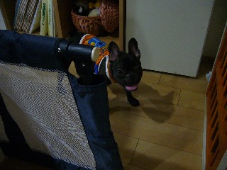P1050973.JPG
