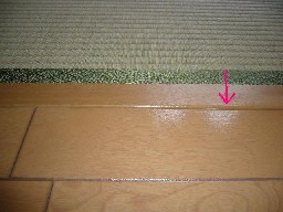 sP1010048p.JPG