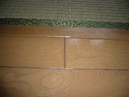 sP1010063.JPG