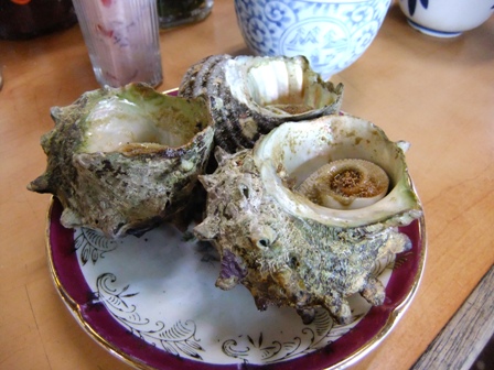呼子サザエ.JPG