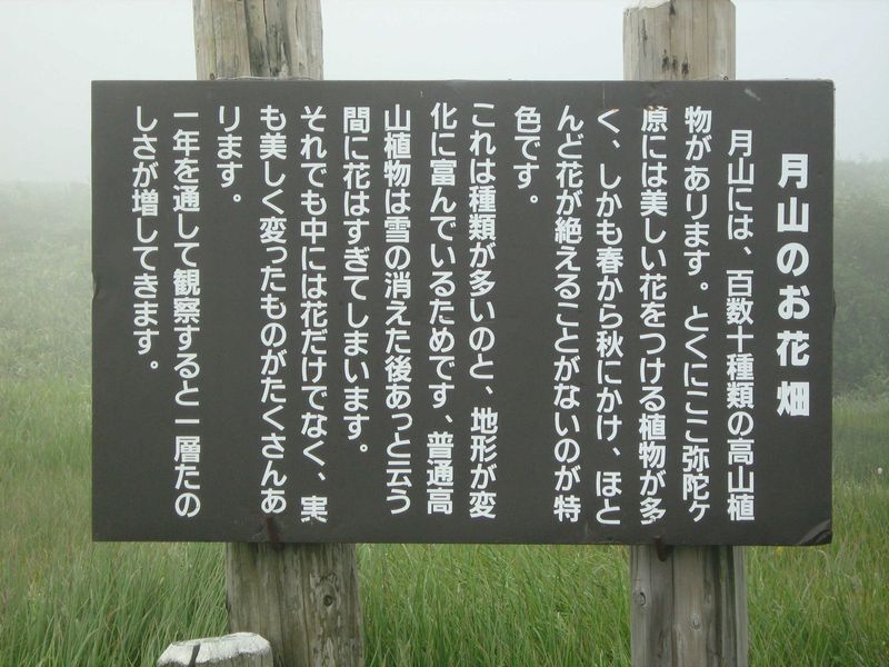 月山のお花畑の看板