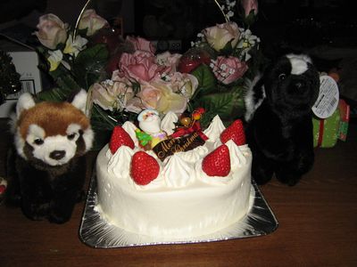 クリスマスケーキ2009.jpg