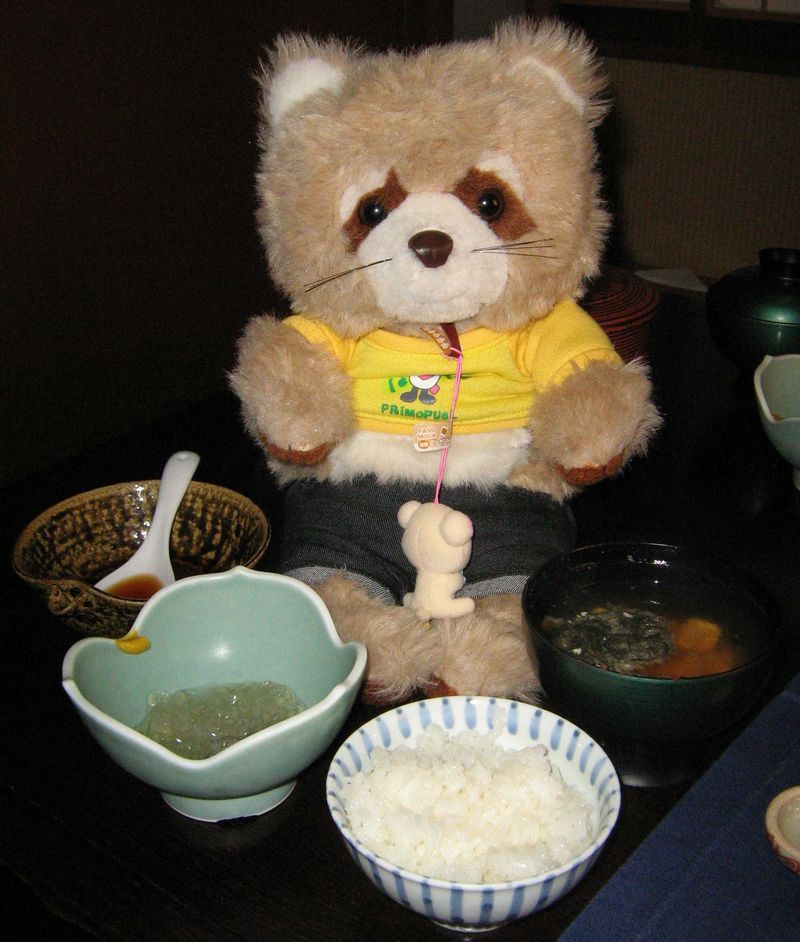 4日目の朝食－ごはんとところてん（酢醤油）