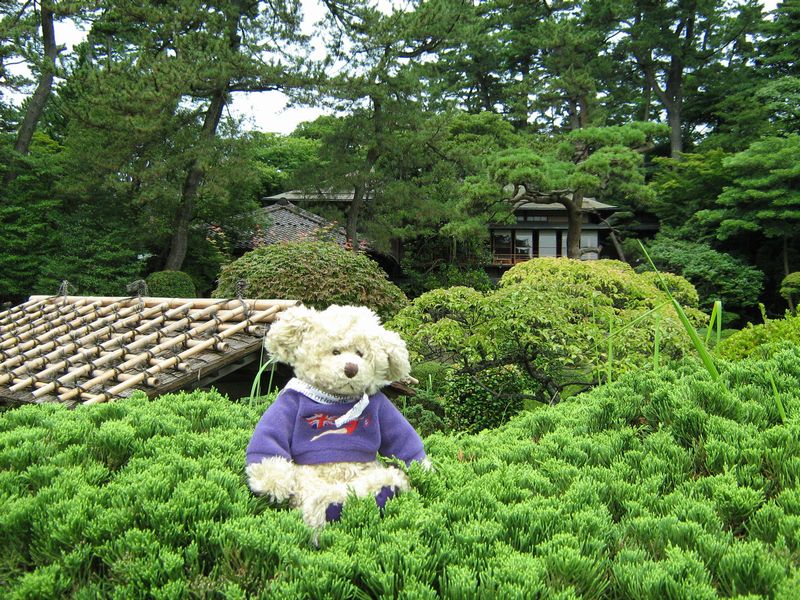 本間美術館その１