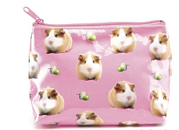 Guinea Pig Make Up Bag.jpg