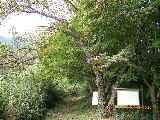 山椒大夫屋敷跡２.jpg