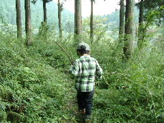 DSC03317.JPG