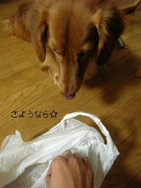 さよなら…