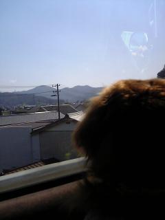 のどかです～…