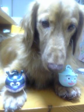 どっちにしよう…