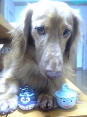 やっぱ、こっち？