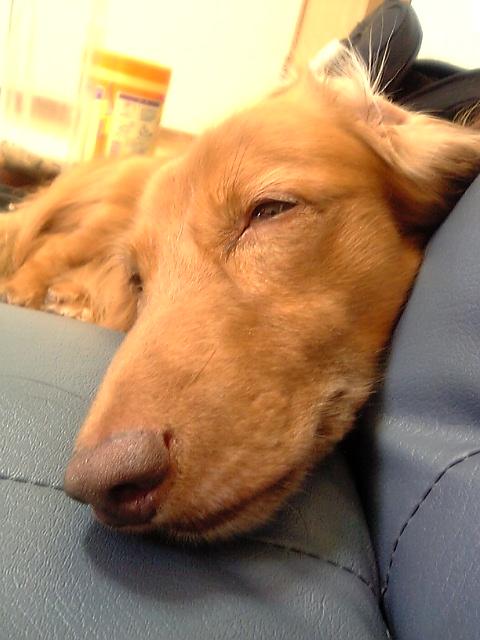 楽しかった～！