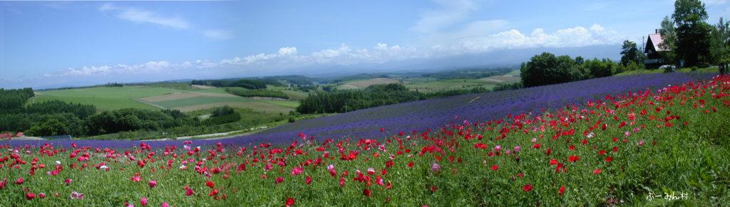 美瑛パノラマ