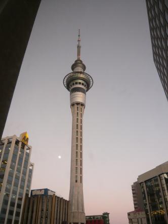 skytowerfromroom.jpg