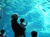 初めての水族館3