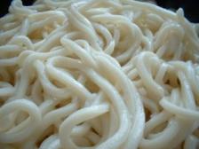 udon up