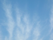 空29