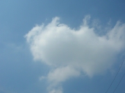 空15