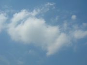 空18