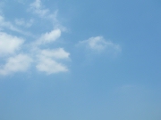 空19