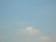 空20