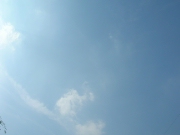 空22