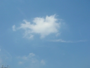 空23