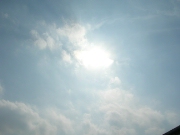 空25