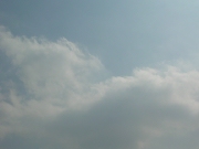 空26