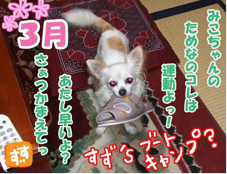 ３月