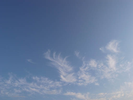 空