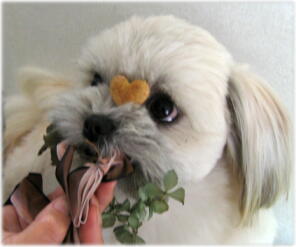 悪い事してます