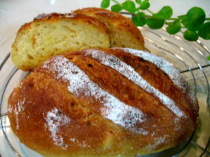 オレンジのクーペ