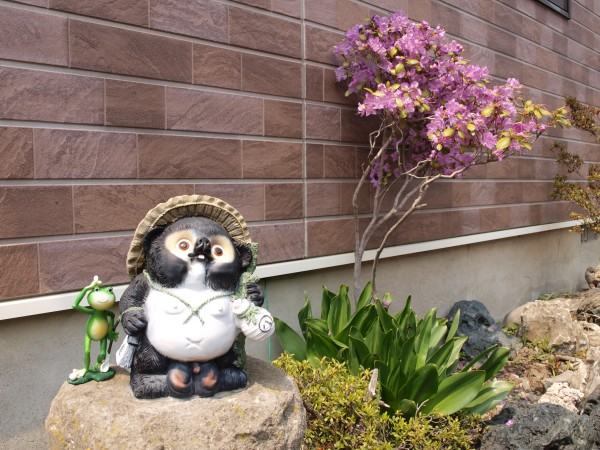 tanuki.jpg