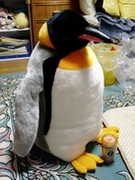 大阪・海遊館のペンギン.jpg