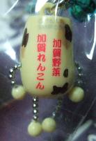 石川　加賀野菜　れんこん