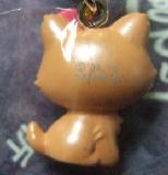 沖縄　チャーミー