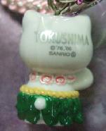 徳島　鳴門わかめ