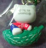 沖縄　ゴーヤー