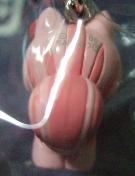 東京　町田リス