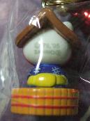 新潟　佐渡たらい舟Vol.2