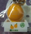 千葉　房総びわ