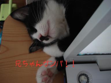 2010-07-20 16:55:42