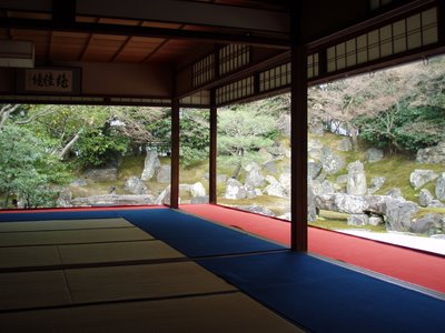 庭