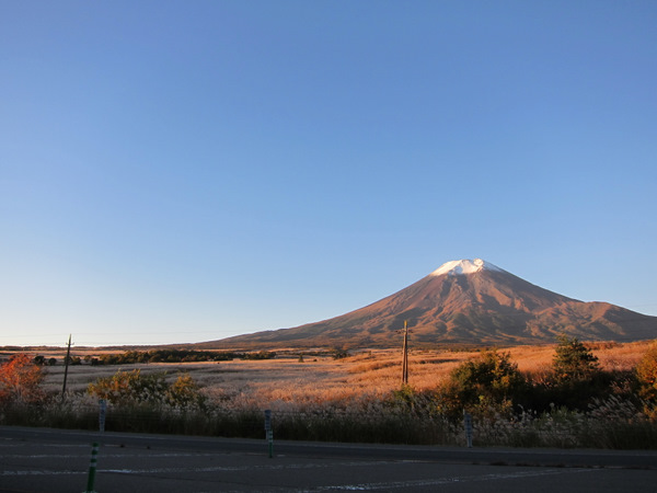 fuji