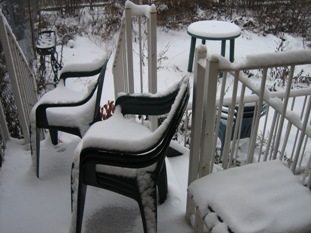 IMG_1650.JPG