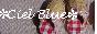 *CielBlue*