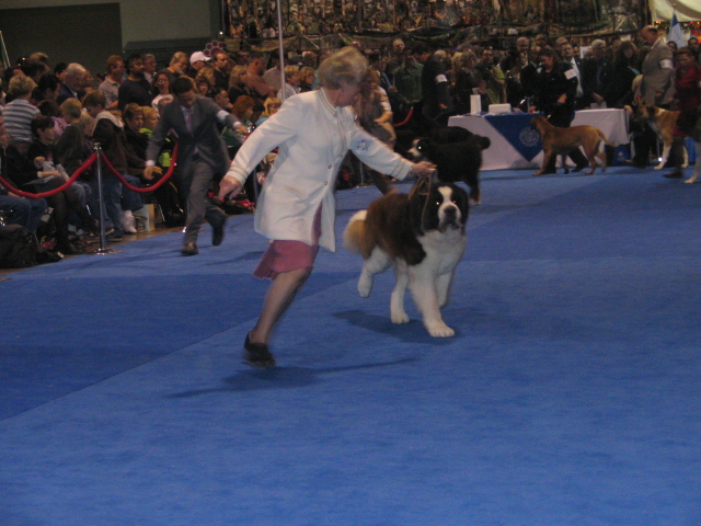 dog show 023.jpg